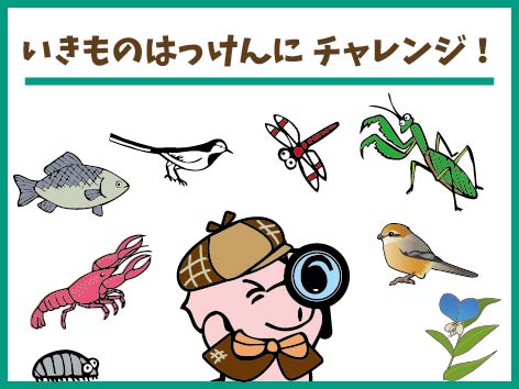 いきものはっけんにチャレンジ！